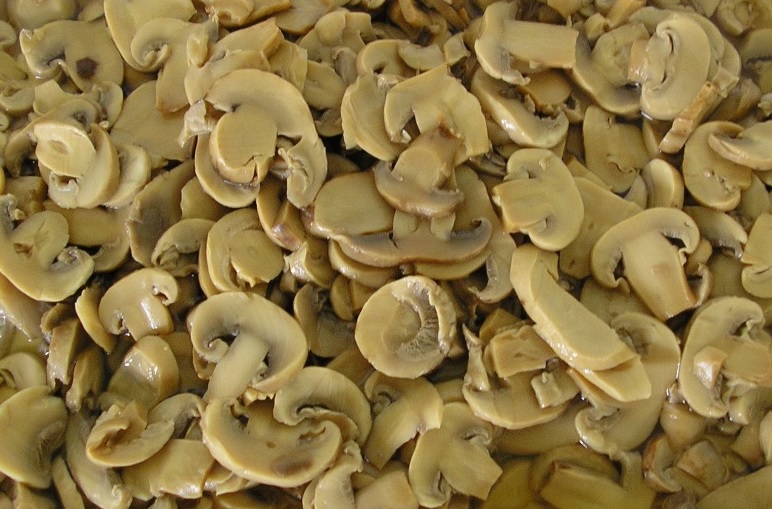 Canned mushrooms CanneryRow Food Brokers & Agents Export Import